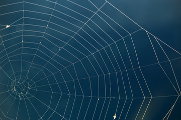 A Detailed Spider Web Built Over Bright Blue Water Glowing In The Morning Sun