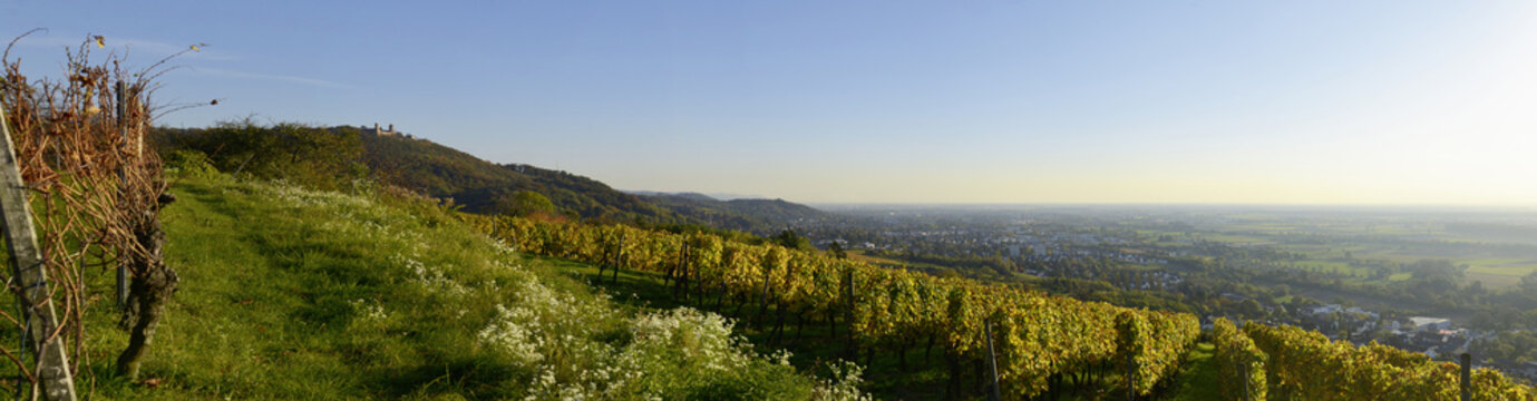 Bergstra&szlig;e Herbst