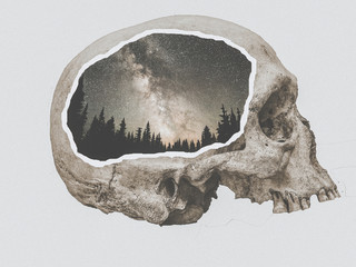 Design of a skull with a landscape inside