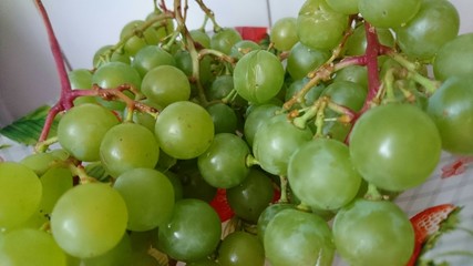 Grapes in a plate