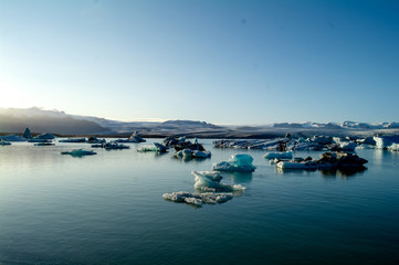 Fototapeta premium Icelandic coast with ice floating in the water