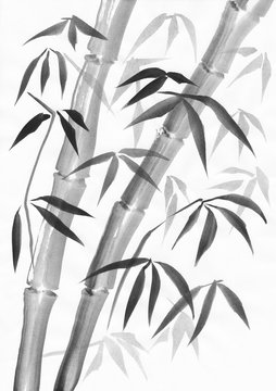 Bamboo watercolor painting study with two stalks and dark and light leaves. Black gouache on white paper.
