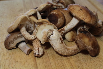 MushroomCuttingBoard