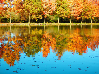 Beautiful autumnal photography of oaks alley and its reflection on clear blue lake.