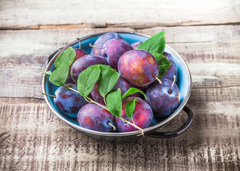 Plums overhead group with leaves in blue metal plate on old rustic white wooden table in studio