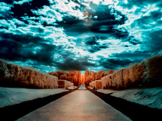Garden in infrared