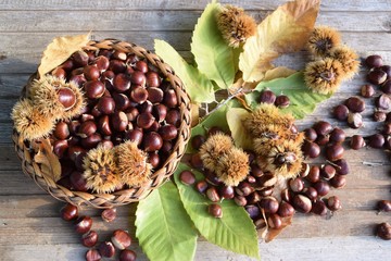 Cestino con castagne