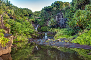 Lush , Tropical and Calm reflection in the morning at oheo gulch or seven pools , Haleakala...