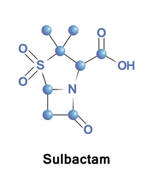 Sulbactam Beta-lactamase Inhibitor