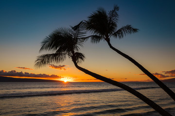 Silhouette of 2 palm trees at sunset on Kaanapali beach, west Maui, Hawaii