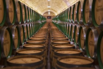  Barrels row in a Rioja winery in Alava