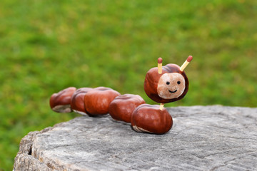 Autumn creative hobby - animal made from chestnuts 