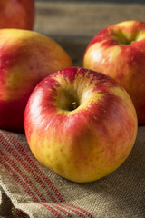 Raw Red Organic Sweet Tango Gala Apples