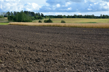 On a plowed field there's a storm coming