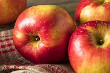 Raw Red Organic Sweet Tango Gala Apples