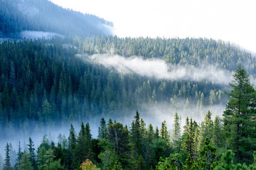 panoramic view of of mountains in misty forest