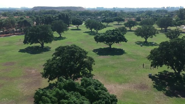 Aerial shot of flying over trees in a park