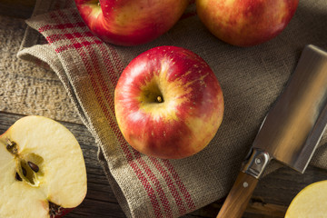 Raw Red Organic Sweet Tango Gala Apples