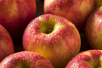 Raw Red Organic Sweet Tango Gala Apples