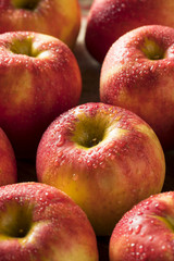 Raw Red Organic Sweet Tango Gala Apples