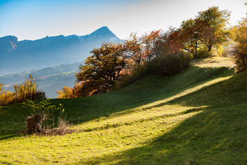 Landschaft bei Falera in Graub&uuml;nden