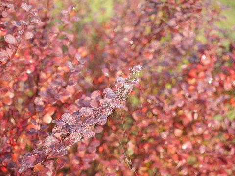 barwy jesieni