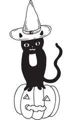 Black cat with hat and pumpkin. Halloween illustration