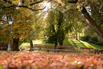 Parkbank, B&auml;ume und bunte Bl&auml;tter im Herbst, Sonnenstrahlen