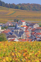 Champagne, village de Trépail  © aterrom