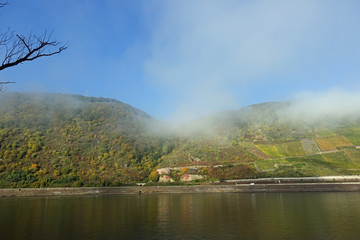 Fototapeta na wymiar Herbst am Rhein