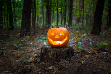 Halloween pumpkin glowing in the dark forest