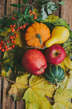 Autumn scene with leaves, apple and pumpkin