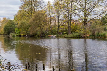 Fototapeta na wymiar Autumn trees beside the lake with reflections.
