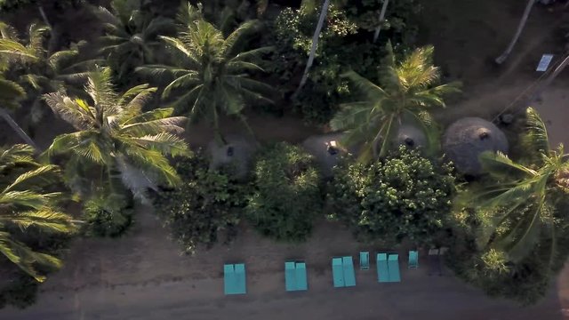 Aerial camera angles down view is straight down as it moves over a lush tropical grove with thatch huts, palapas, beach, palm trees and green grass. Continuation from prior clip.