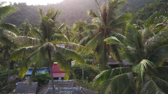 Aerial camera tracking to the left at the altitude of the top of the palm trees as the sun twinkles through the fronds on Rabbit Island, Koh Tonsay, Kep Province, Cambodia.