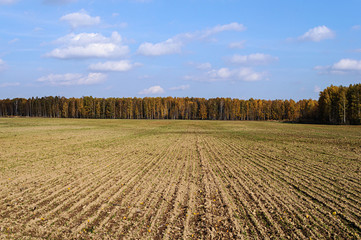 Plowed field in autumn