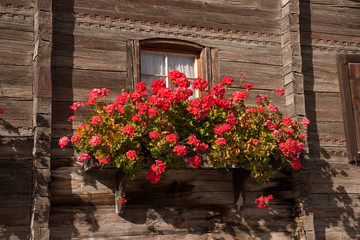 Walser-Holzhäuser in Graubünden