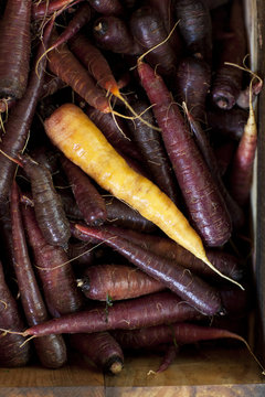 Yellow and Purple Carrots In Box at Farmer's Market