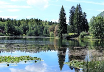 Obraz premium Alberi riflessi su lago di montagna