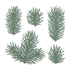 Collection of hand drawn spruce branches
