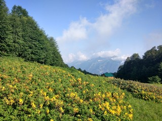 Mountain in Kaukasus, Red Valley, 2017