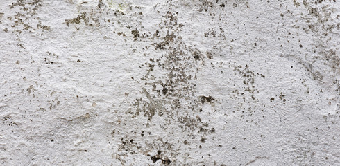 The panorama of the old grunge white wall concrete texture