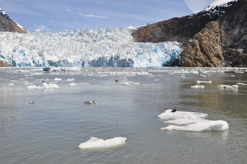 Glacier in Tracy Arm Fjord, Alaska, USA