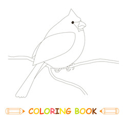 Children coloring page stock vector illustration, ardinalis for kids coloring book
