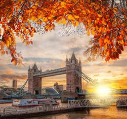 Foto op Canvas Tower Bridge met herfstbladeren in Londen, Engeland, VK © Tomas Marek