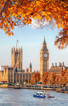 Fototapeta Big Ben with autumn leaves in London, England, UK