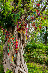 Red hearts hung on a tree using colorful ribbon at Cangshan Mountain in Dali in Yunnan Province of...