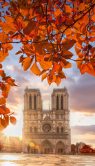 Notre Dame cathedral with autumn leaves in Paris, France - obrazy, fototapety, plakaty