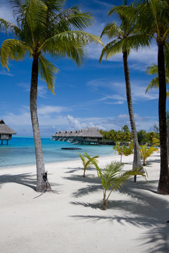 bora bora 