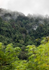 Thailand Khao Lak Misty Mountains